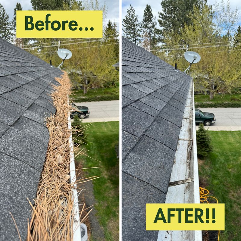Gutter Cleaning