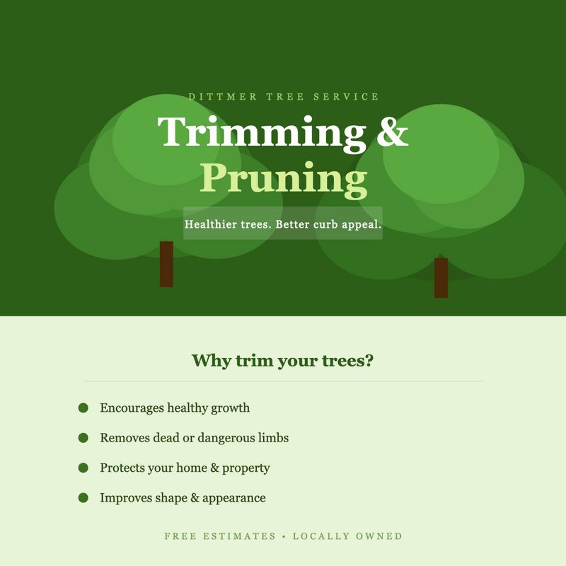 Tree Trimming