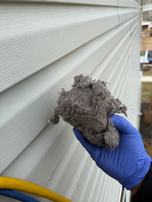 Dryer Vent Cleaning Photos