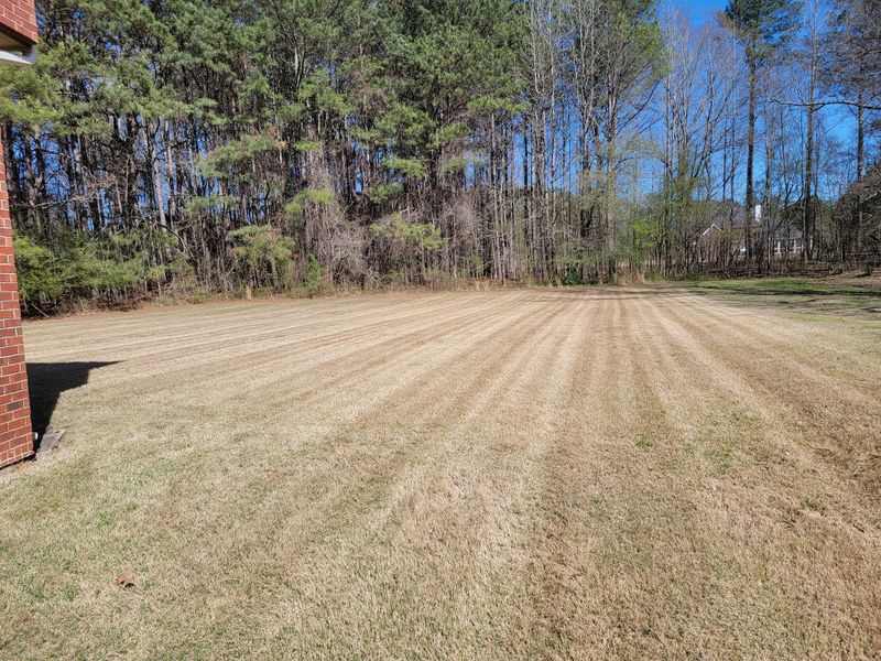 Lawn Care