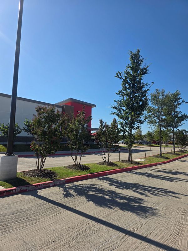 Commercial Lawn Maintenance