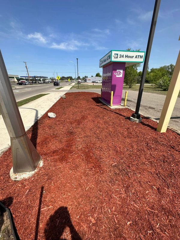 Landscape Design & Installation