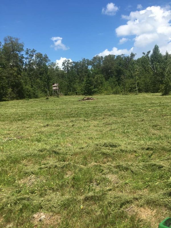 Land Clearing gallery