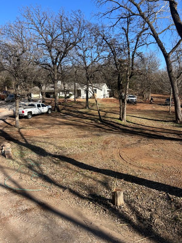 Land Clearing And Preparation
