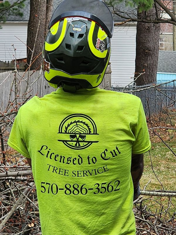 Tree Trimming