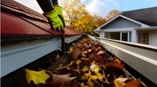 Gutter Cleaning