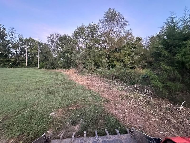 Brush-Stump Removal
