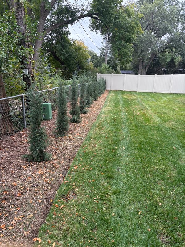 Garden Design