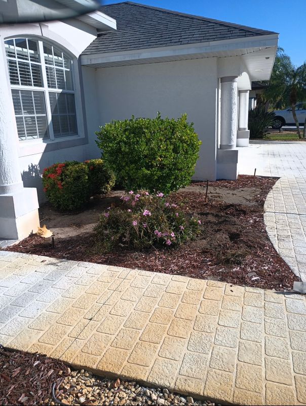 Landscape Design