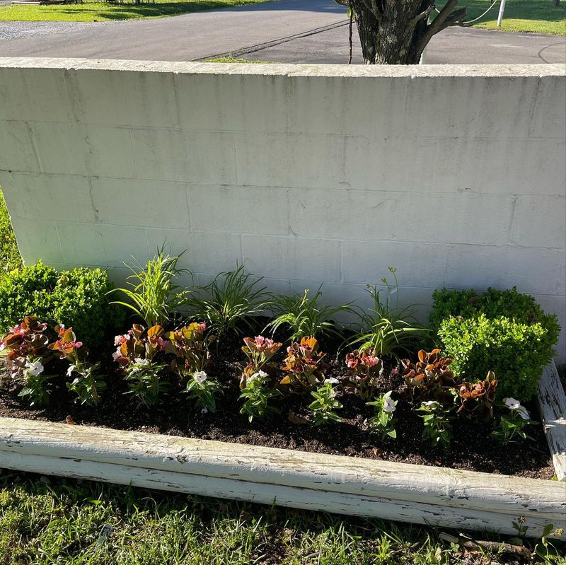 Landscaping