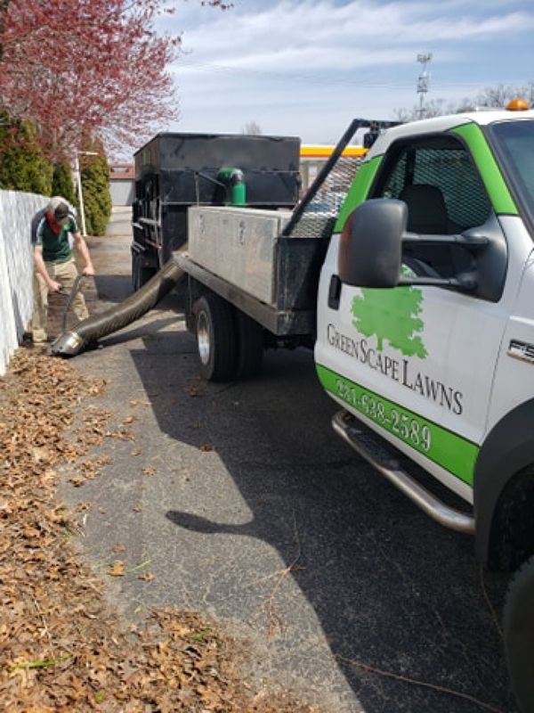 Leaf Removal