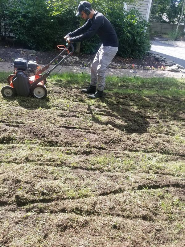 Lawn Maintenance