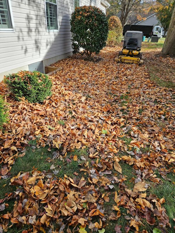 Lawn Maintenance