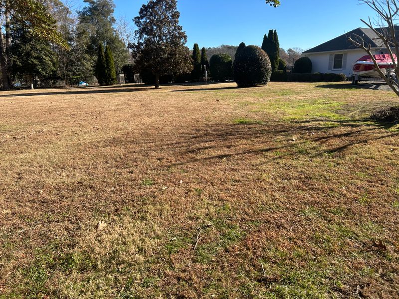 Leaf Removal  gallery
