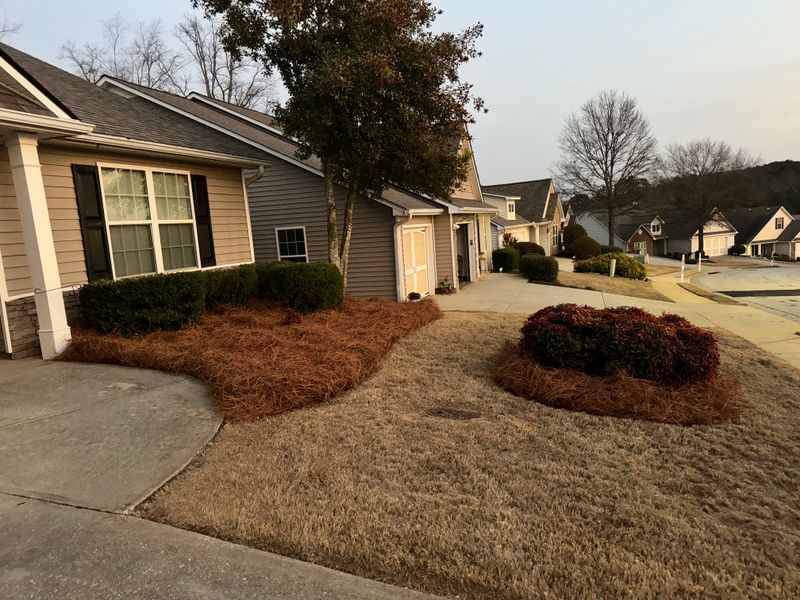 Mulch Installation