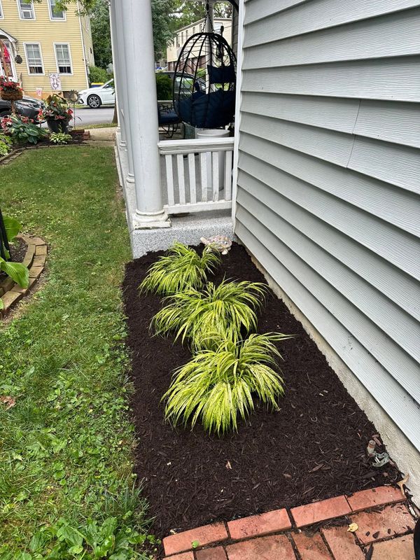 Landscape Design