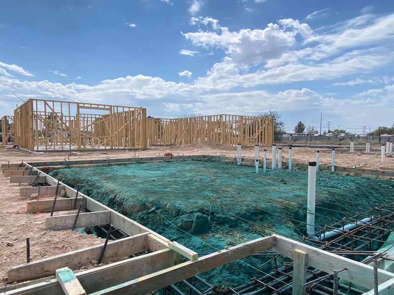 Termite Pretreatment