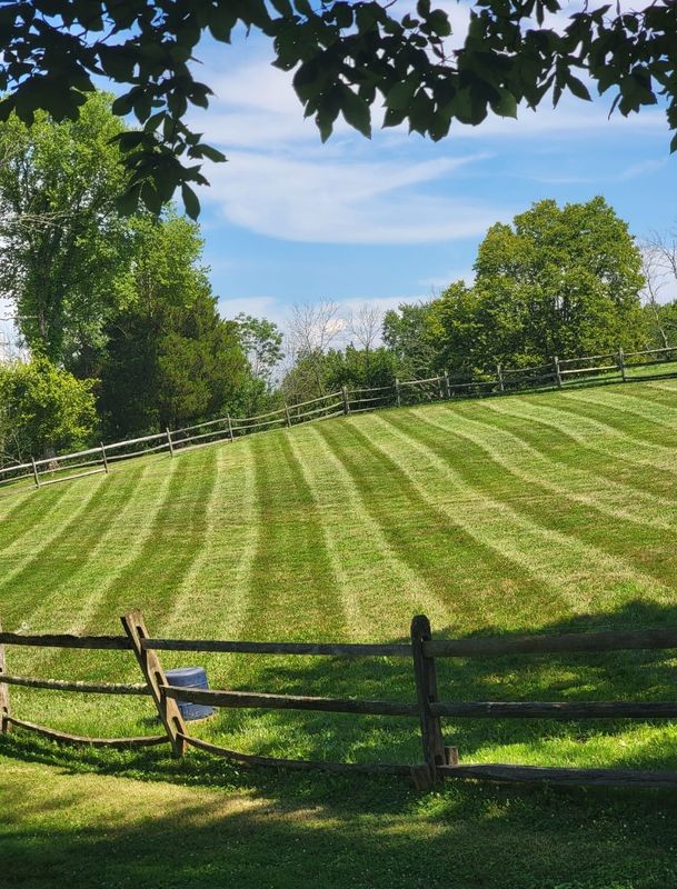 Garden Maintenance
