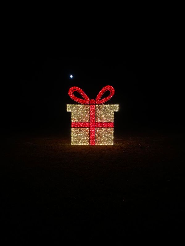 Holiday Lighting