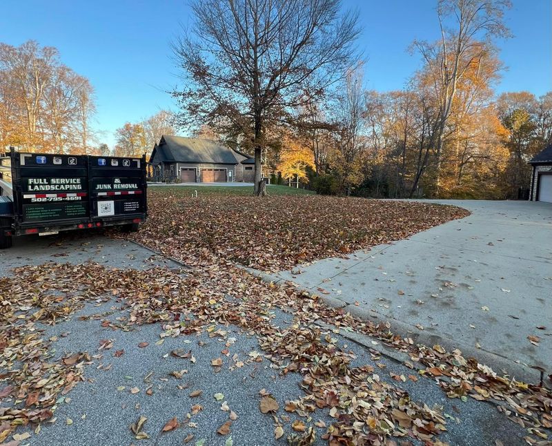 Fall Clean Up