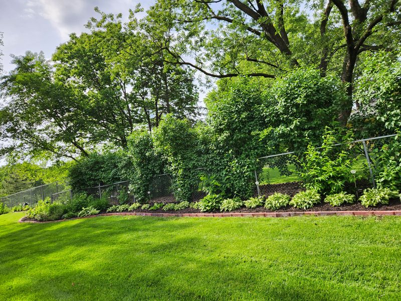 Landscaping 
