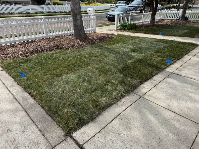 Mowing