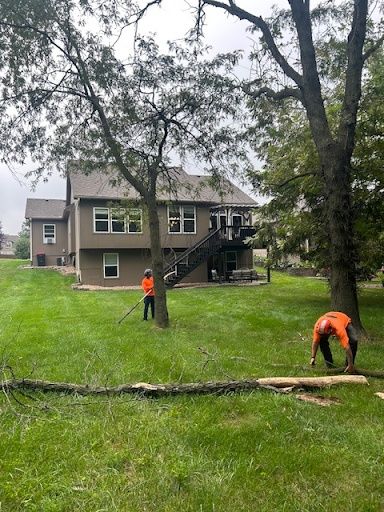 Tree Removal