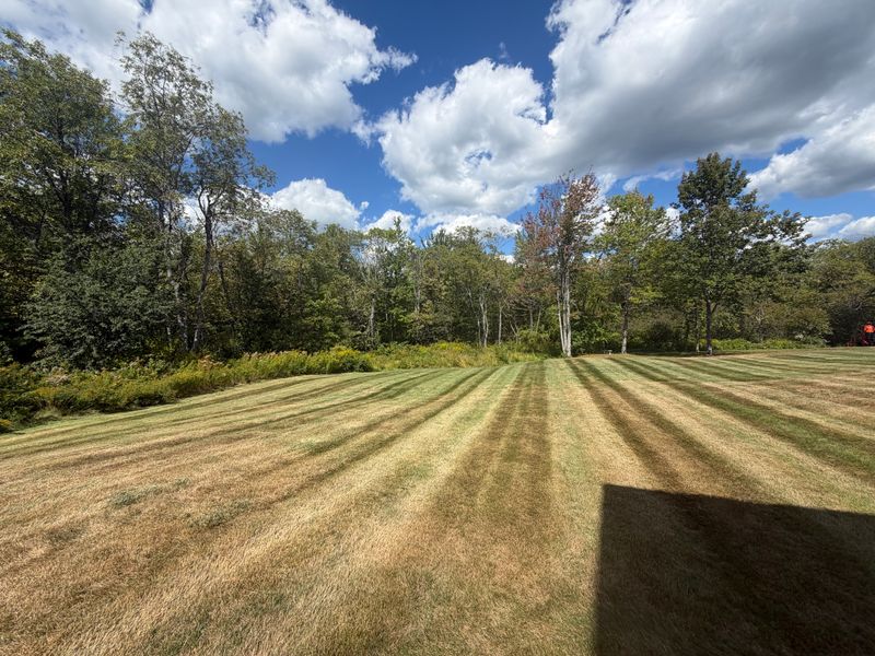 Lawn Maintenance