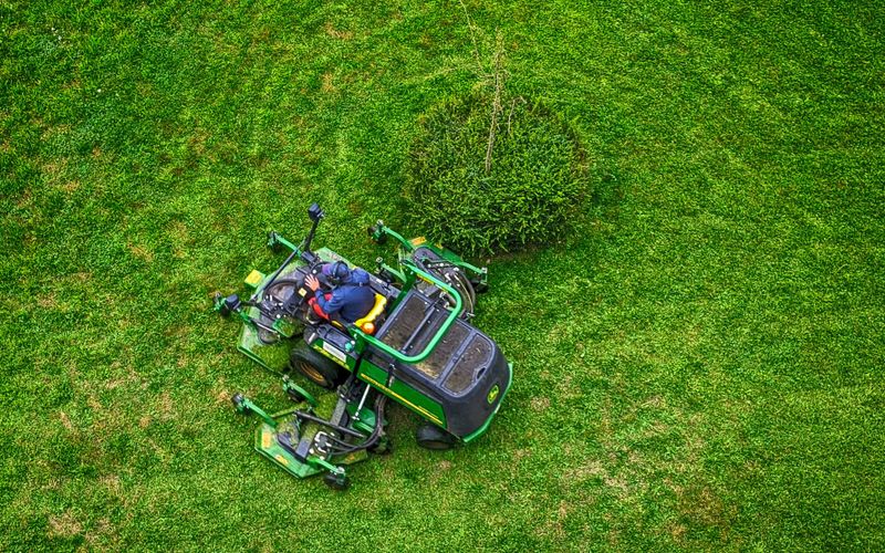 Lawn Maintenance