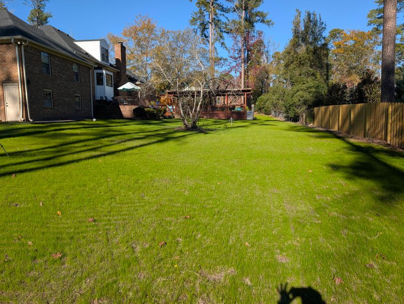 Lawn Maintenance