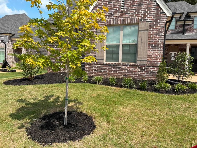 Landscaping