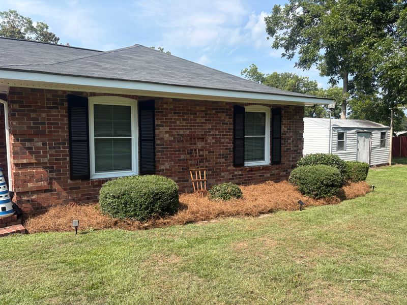 Tree & Shrub Care