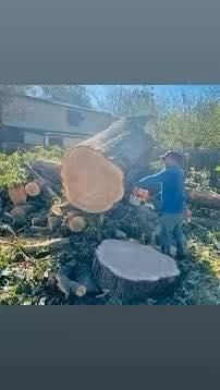 Fall Clean Up