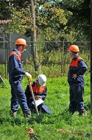 Landscape Management Service