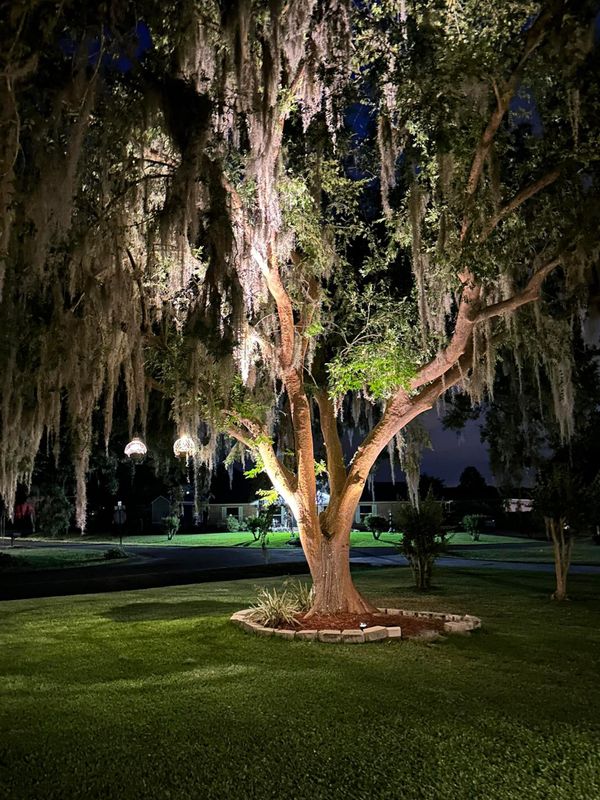 Landscape Lighting