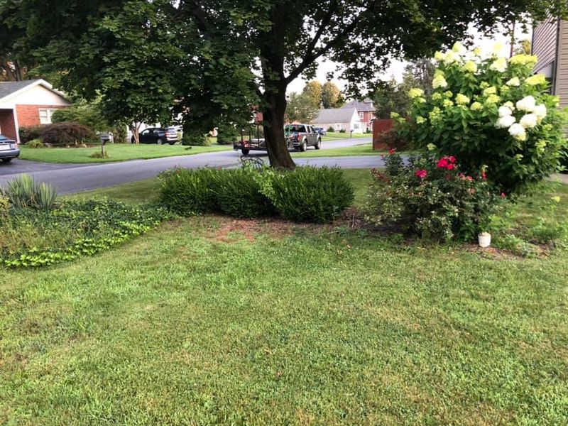 Lawn Care