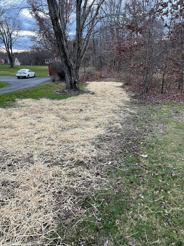 Land Clearing