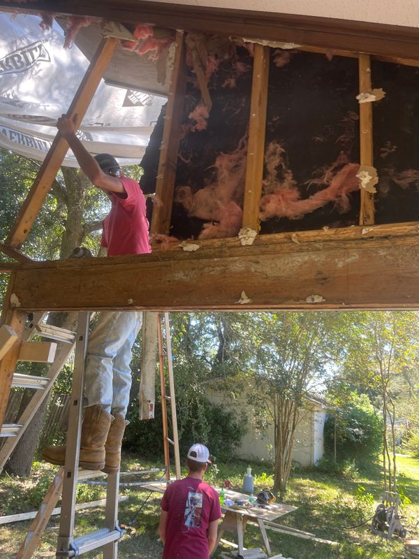 Termite Repairs