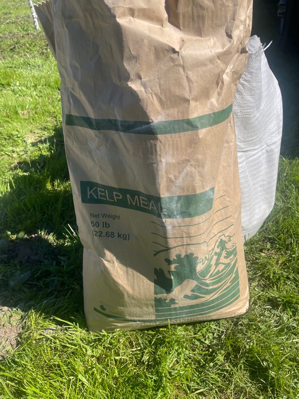 Tree Health and Maintenance