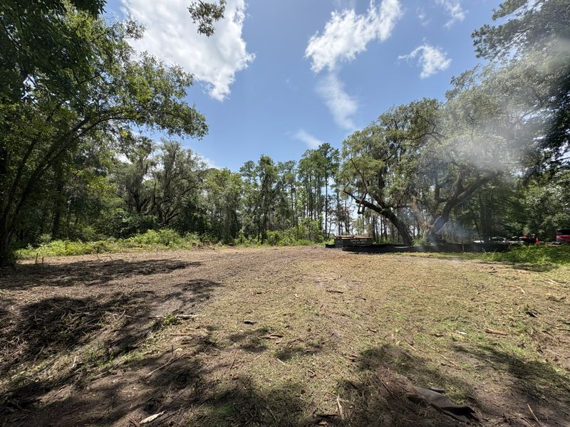 Brush Removal