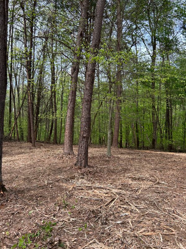 Land Clearing