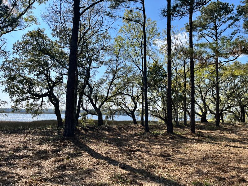 Land clearing gallery