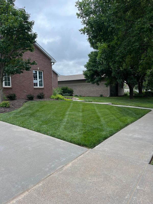 Lawn Maintenance