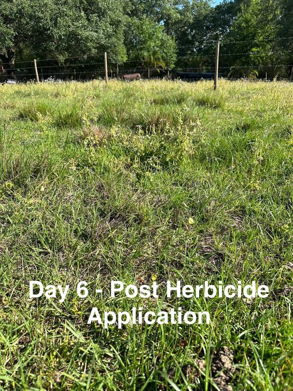 Custom Herbicide Treatments