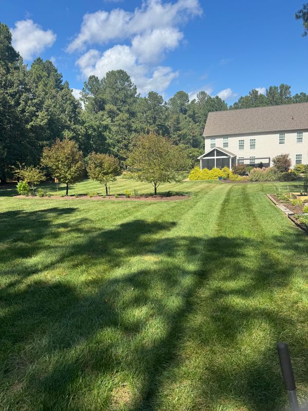 Mowing