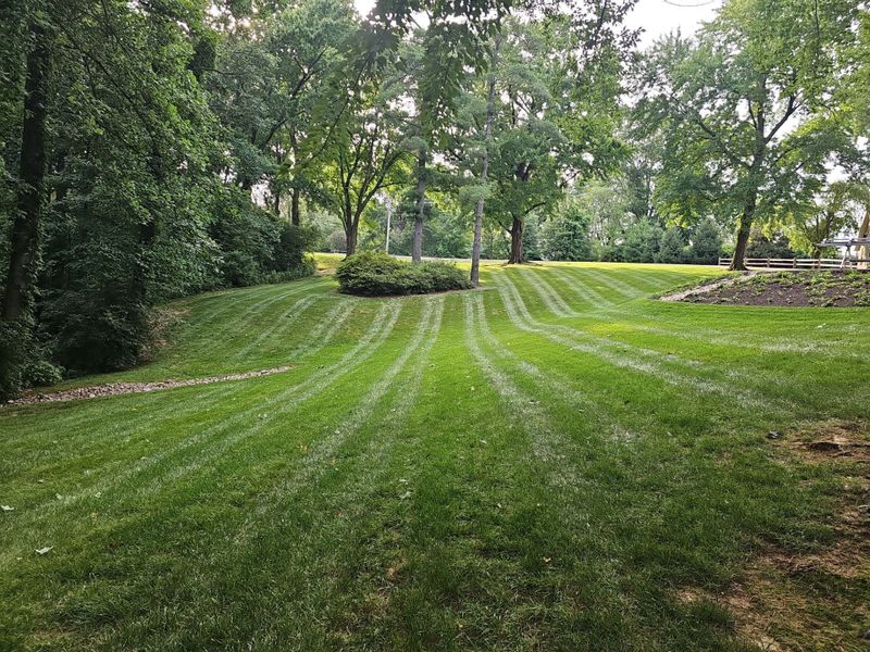 Lawn Maintenance