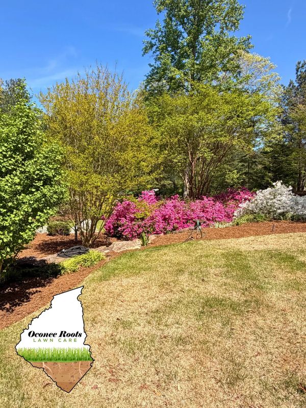 Landscape Design & Installation