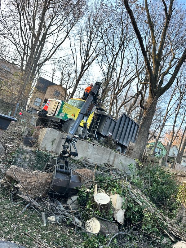 Land Clearing