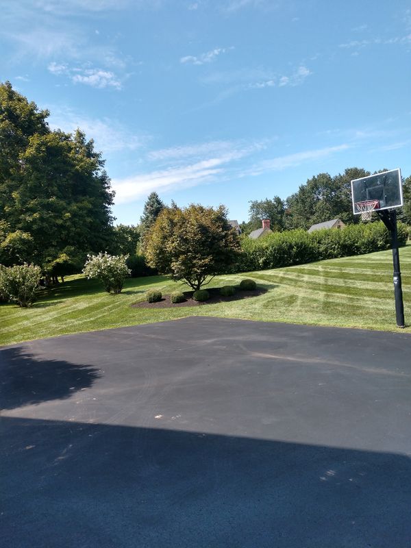 New landscapes. Plantings and mulch