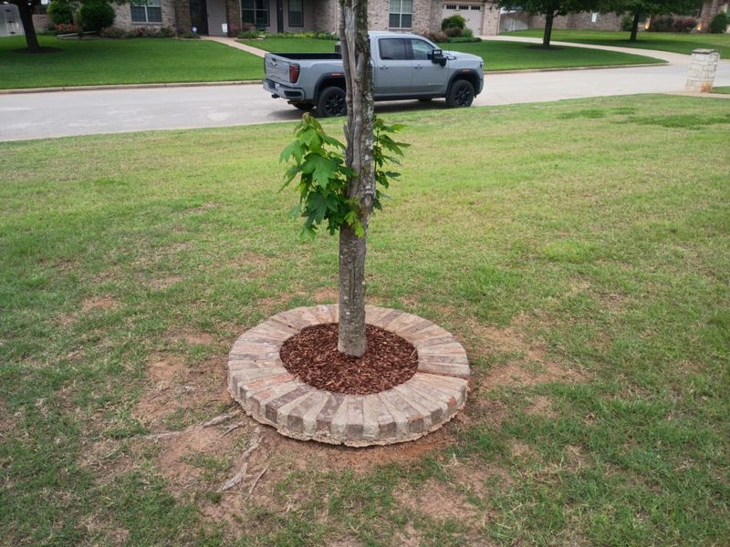 Flower Beds